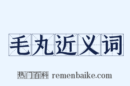 毛丸近义词是什么意思的图片